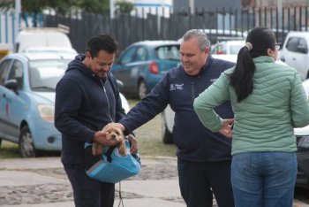 AMEQ entrega más de 300 tarjetas Qrobus Petfriendly para mascotas en Querétaro