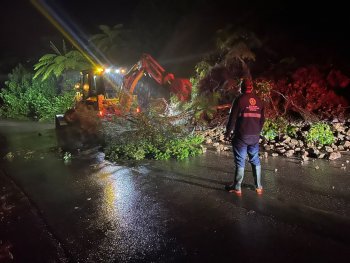 Protección Civil atiende derrumbes y árboles caídos por lluvias en Puebla; sin evacuados
