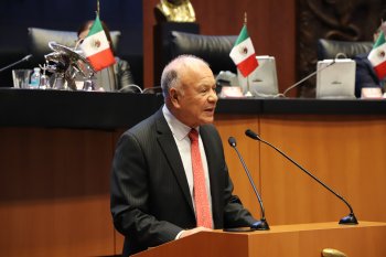 Senador del PT propone prohibir redes sociales a menores de 13 años