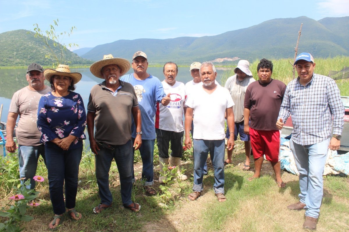 Colima acumula 650 mil alevines sembrados en la Laguna de Amela, 65% de su meta anual