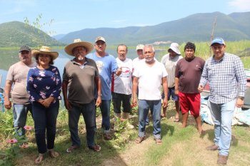 Colima acumula 650 mil alevines sembrados en la Laguna de Amela, 65% de su meta anual