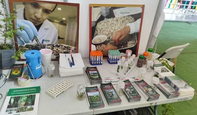 INIFAP lleva al Congreso SOMEFI 2026 la conservación de recursos fitogenéticos de México