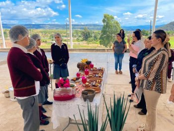 Cecytez realiza etapas regionales de Cecyte Chef con 24 equipos rumbo a la fase estatal