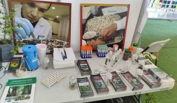 INIFAP lleva al Congreso SOMEFI 2026 la conservación de recursos fitogenéticos de México