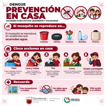 SSZ pide limpiar patios y azoteas ante lluvias y casos autóctonos de dengue en Zacatecas