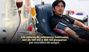Donación de plaquetas por aféresis: requisitos y a quiénes beneficia, según el CNTS