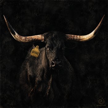 Los del North Texas lanzan "Innovación", su primer álbum, con 12 temas inéditos
