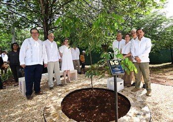 UNAM celebra 50 años del IIMAS y 30 del Instituto de Ecología en Mérida