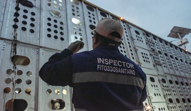 Senasica frena 2,371 cargamentos con plagas tras 1.4 millones de inspecciones
