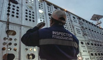 Senasica frena 2,371 cargamentos con plagas tras 1.4 millones de inspecciones