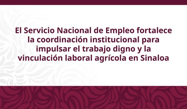 Feria del Empleo Agrícola en Sinaloa ofrece más de 700 vacantes en Villa Benito Juárez