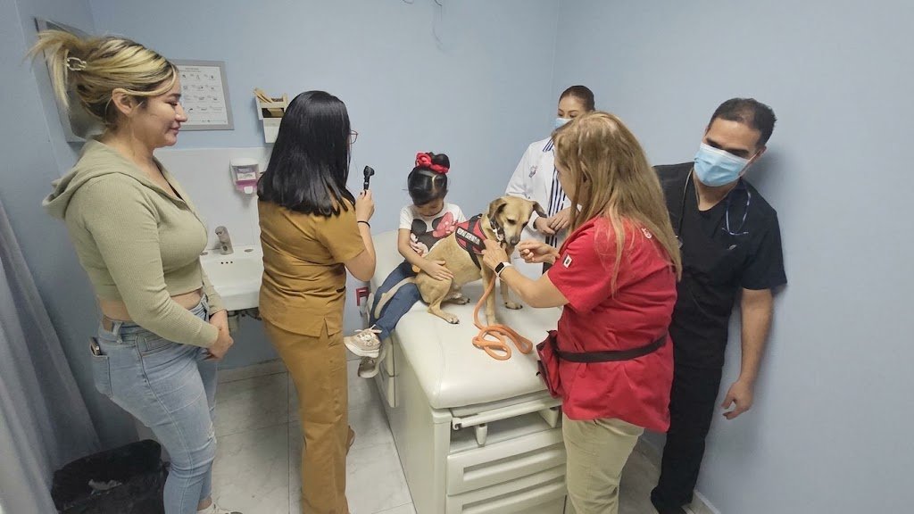 Guanajuato incorpora terapia asistida con animales en cuidados paliativos pediátricos