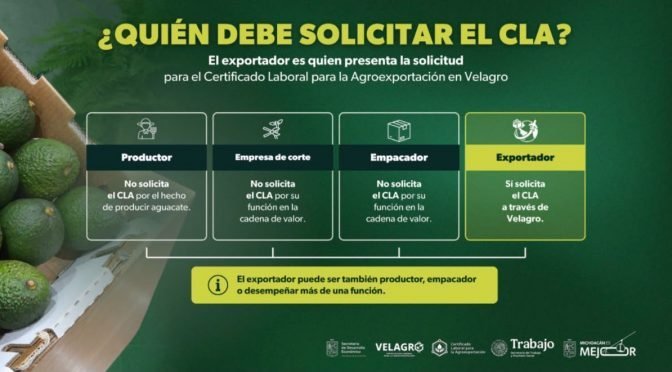 Huertas familiares de aguacate con menos de 5 hectáreas no requieren Certificado Laboral en Michoacán
