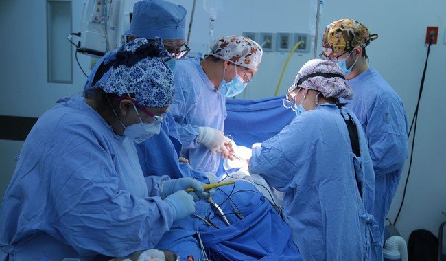 IMSS opera a 16 niños con cáncer y malformaciones en jornada de cirugía oncológica pediátrica en CMN La Raza