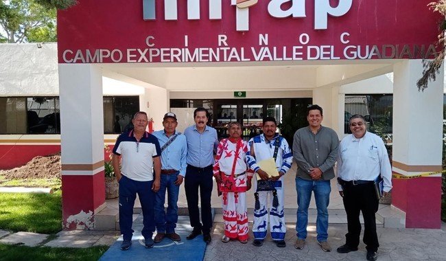 INIFAP y UJED acuerdan apoyo técnico a comunidad wixárika de San Lucas de Jalpa, Durango