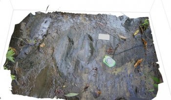 INAH identifica 50 huellas de dinosaurio de hace 65 millones de años en Apatzingán, Michoacán