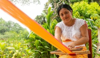 UCUVI reúne a mujeres indígenas y afromexicanas para dialogar sobre el artículo 2 constitucional