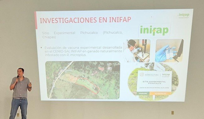 Capacitan a 80 productores y veterinarios en control de garrapatas y gusano barrenador en Acayucan