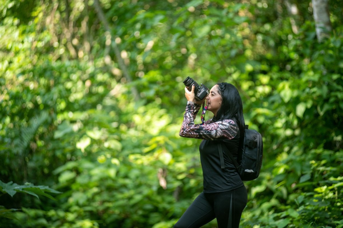 Colima Birding 2026: seis rutas guiadas y más de 470 especies en el festival de aves