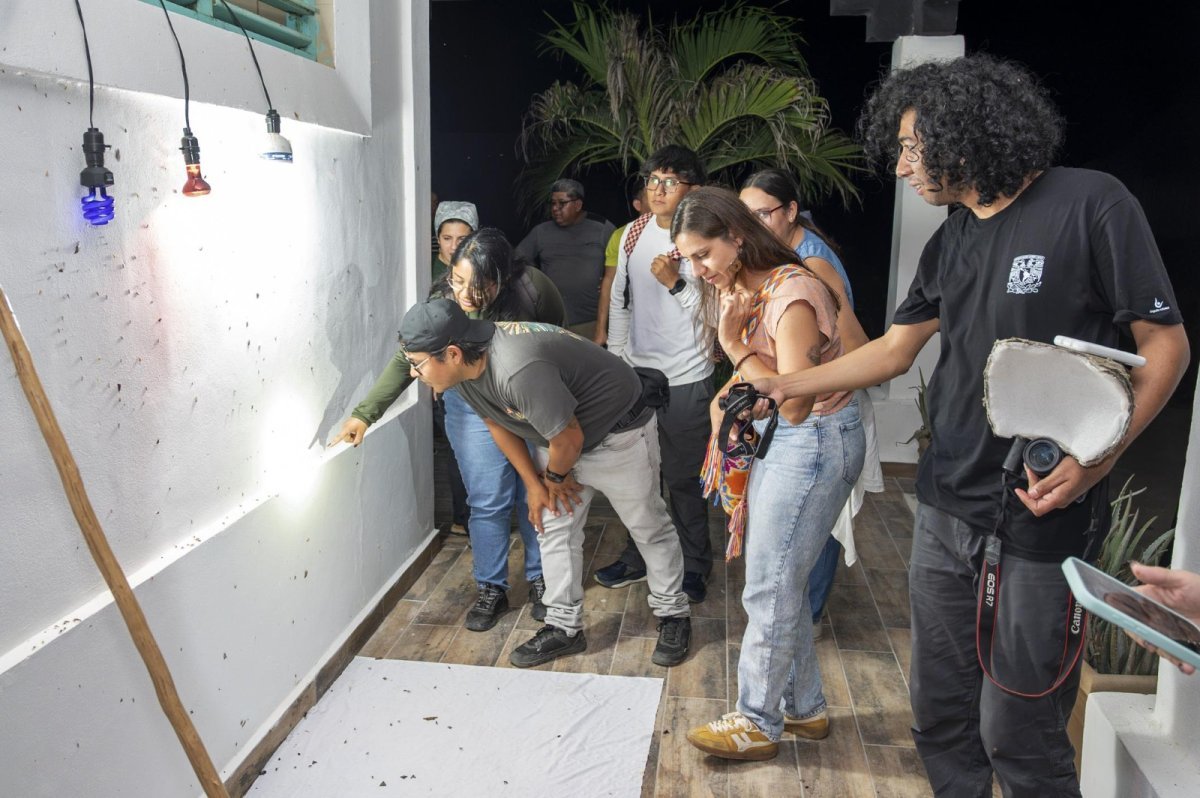Investigadores estudian en Cozumel chinches de Chagas y mosquitos con apoyo de la FPMC