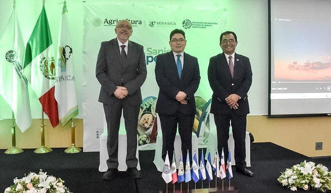 México y OIRSA refuerzan inspección de ganado con 104 corrales contra el gusano barrenador
