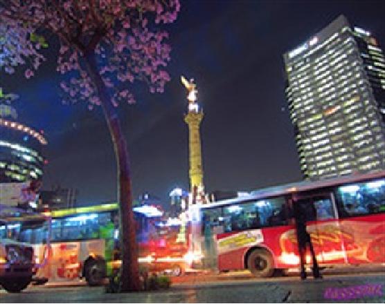 IMPULSARA NOCHEBUS ACTIVIDAD ECONÓMICA
