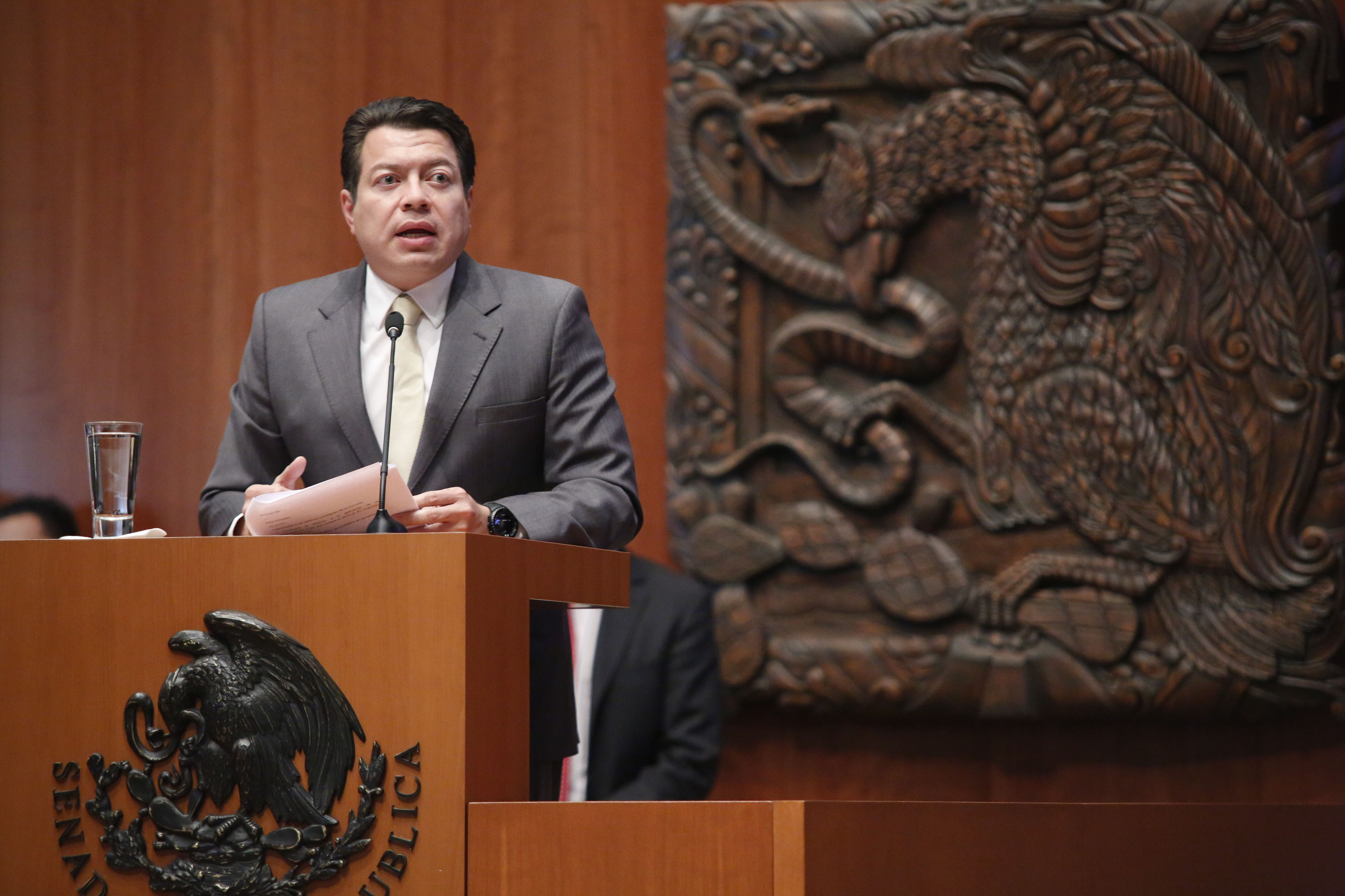 Hay dilación para consulta popular: Carillo