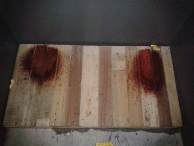 Por salud de mascotas, piden a devotos guadalupanos no usar cohetes