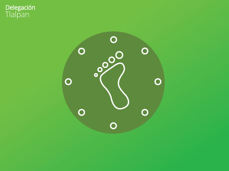 Solicita Tlalpan a la ALDF mayores recursos para programas especiales