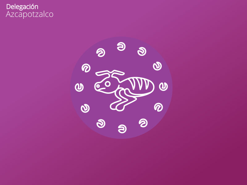 CORREN, TROTAN Y CAMINAN CONTRA LA VIOLENCIA DE GÉNERO