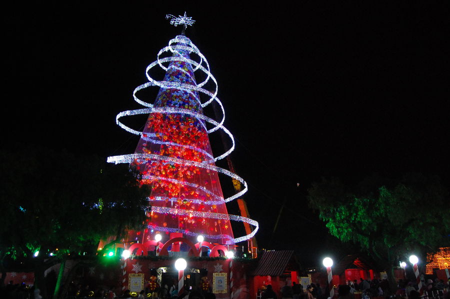 ALIMENTA ÁRBOL DE LOS DESEOS CON ESPERANZA Y AMOR A VISITANTES EN IZTAPALAPA