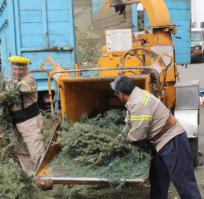 CUAJIMALPA CONTINÚA CON CAMPAÑA DE RECICLAJE NAVIDEÑO
