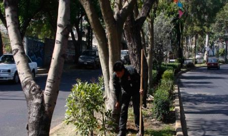 Limpian cerca de 10 mil metros cuadrados en boulevares de Villa Milpa Alta y TecÃ³mitl