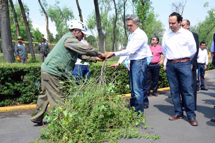 INICIA CAMPAÑA PARA COMBATIR MUÉRDAGO EN ÁREAS VERDES