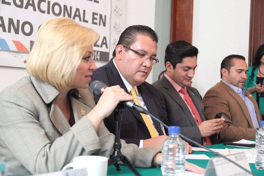 EDUCACIÓN, SEGURIDAD Y MERCADOS PÚBLICOS, PRIORIDADES EN V. CARRANZA
