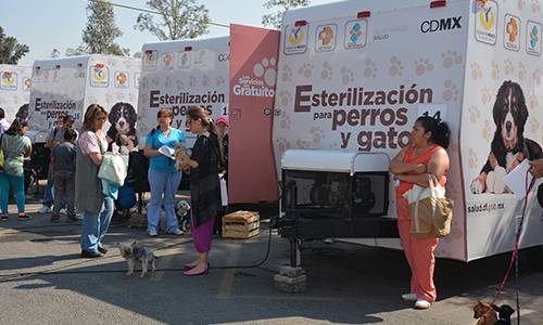 INICIA IZTAPALAPA SEMANA NACIONAL DE VACUNACIÓN ANTIRRÃBICA CANINA Y FELINA