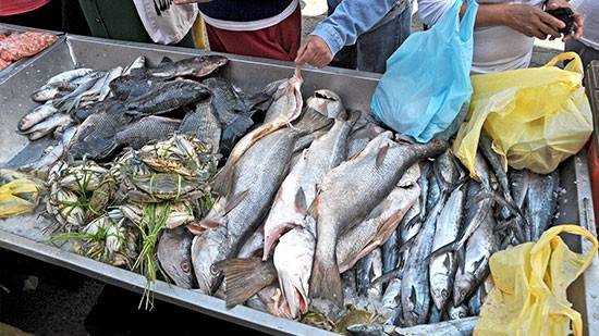 Ofrece Tlalpan pescados y mariscos de calidad a bajo costo