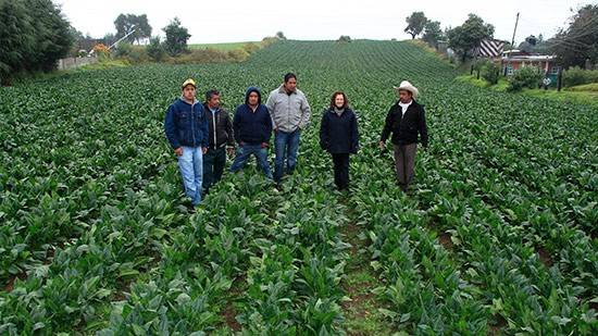 Refuerza Tlalpan apoyos a productores agropecuarios