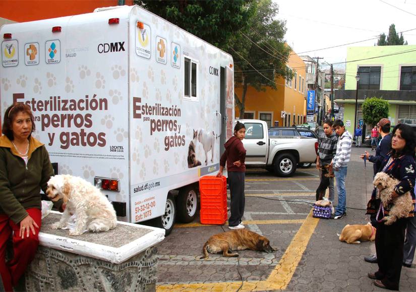 Milpa Alta realizará campaña de salud a favor de los animales de compañía