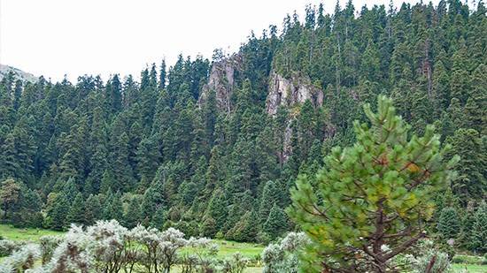 Anuncian a€œFeria Verde Tlalpan 2014a€ para protección del Medio Ambiente