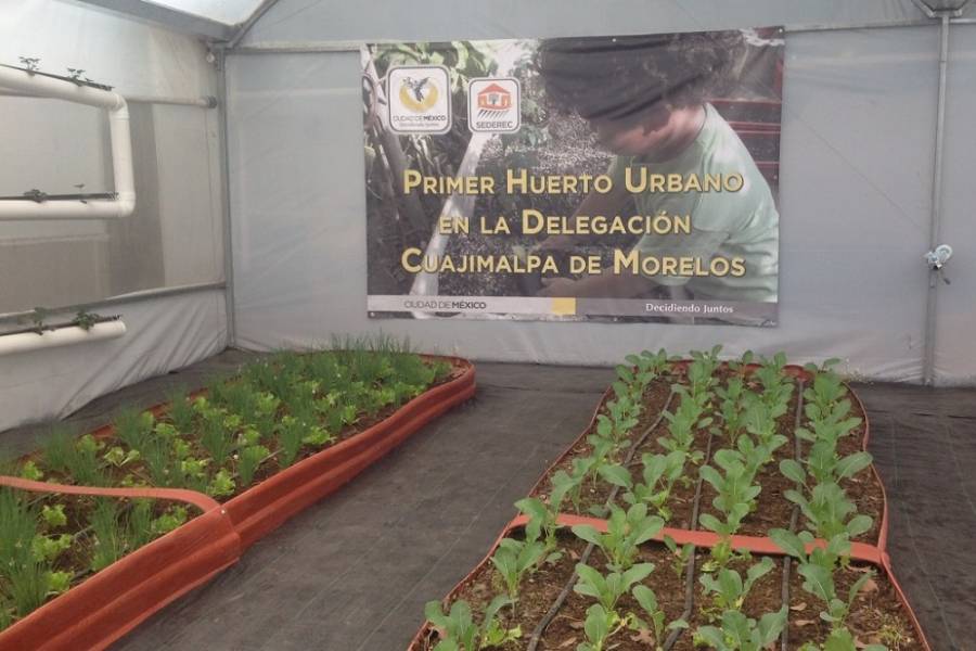 PRIMER HUERTO URBANO BENEFICIA A MÁS DE 70 FAMILIAS EN CUAJIMALPA