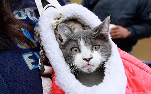 Inaugura Tlalpan Clínica Veterinaria de primer nivel