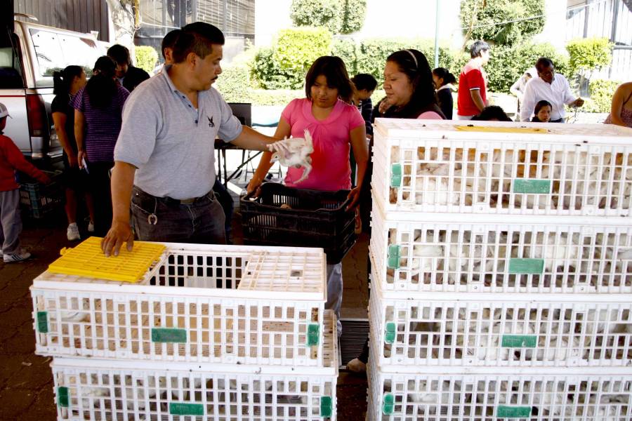 Apoyando a mujeres campesinas de Milpa Alta con PRODESEC