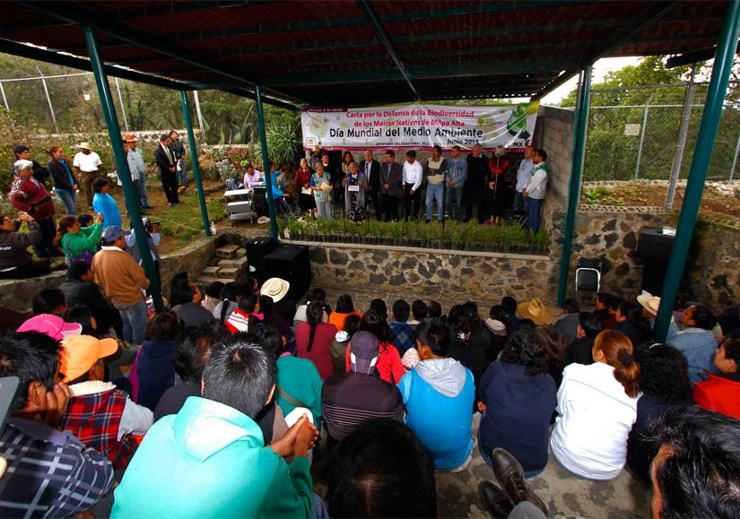 Los productores de Milpa Alta rechazan maíz transgénico