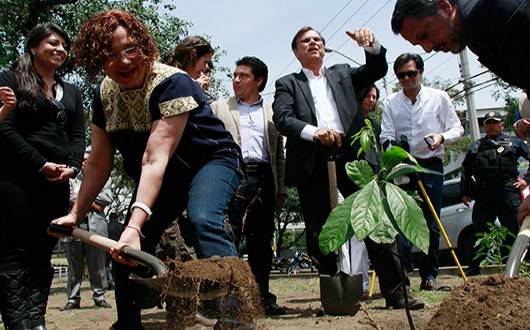 Desarrolla Tlalpan Primer a€œBosque Comestiblea€ en el Distrito Federal
