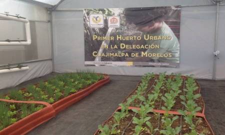 PRIMER HUERTO URBANO BENEFICIA A MÃS DE 70 FAMILIAS EN CUAJIMALPA