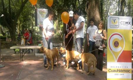 TENDRÃ PARQUE MÃ‰XICO ESPACIO EXCLUSIVO PARA PERROS