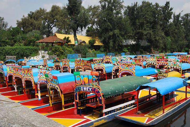 REPORTA XOCHIMILCO LISTAS MÁS DE MIL TRAJINERAS PARA LA TEMPORADA VACACIONAL
