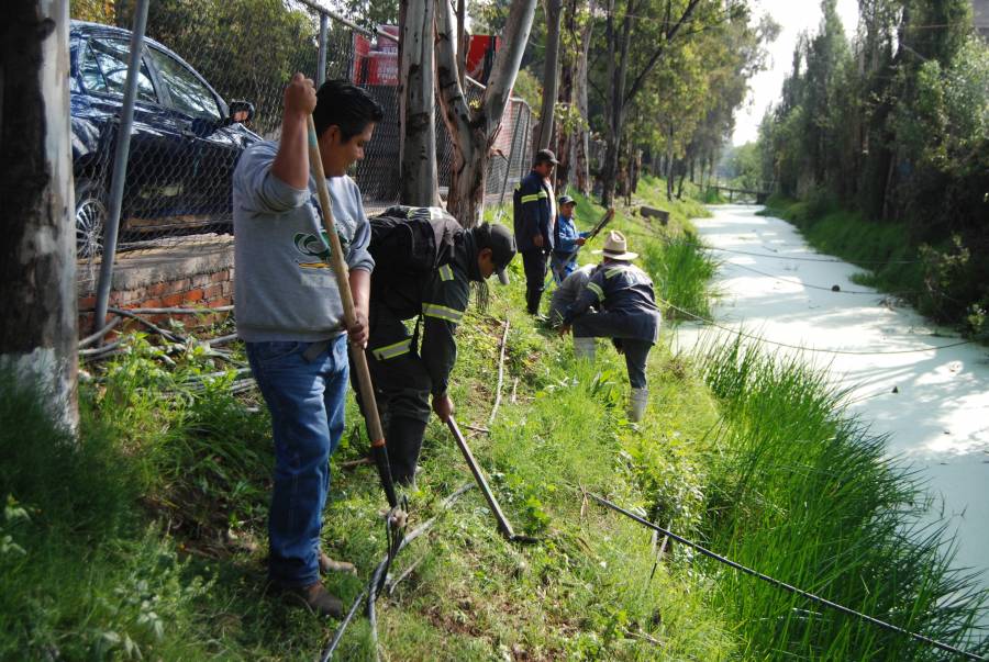 XOCHIMILCO CONTINÚA CON LA LIMPIEZA DE SUS CANALES