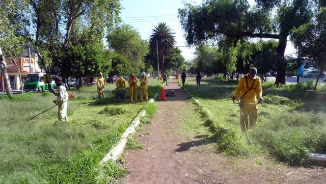 REALIZAN PODA EN 1.8 KILOMETROS DE CAMELLÓN TEZOZÓMOC